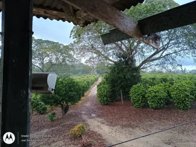 Fazenda / Belmonte - Bahia