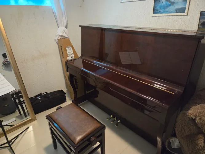 Piano Fritz Dobbert