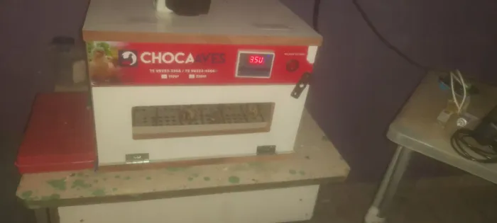 Chocadeira automática para 35 a 40 ovos de galinha