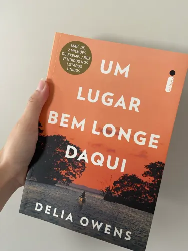 Livro : Um lugar bem longe daqui