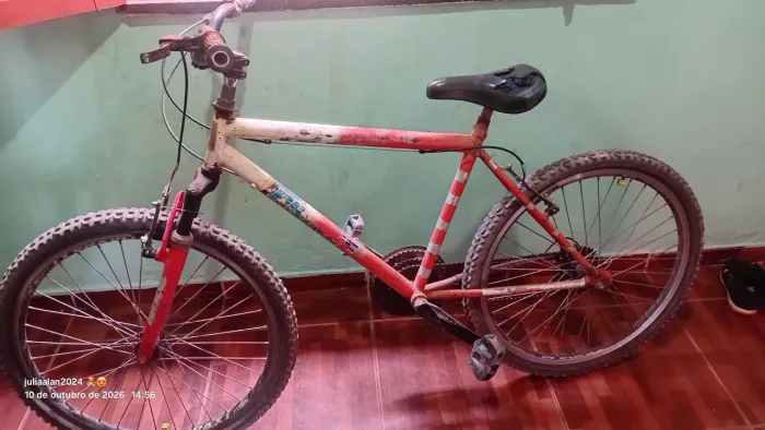 Bicicleta