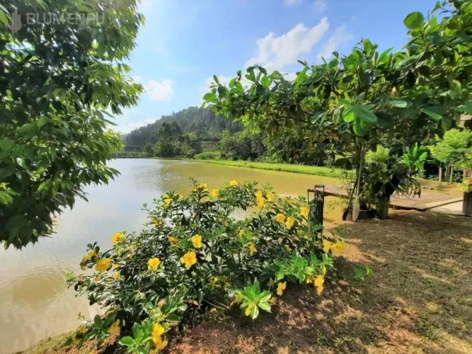 Sitio com 7.900m² com lagoa, ribeirão no bairro Vila Itoupava