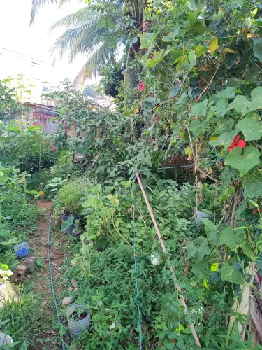 Lote bairro Eldorado Leopoldina mg