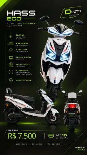 Scooter Eletrica Smart wheel 1000w 2026