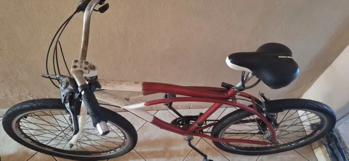 bicicleta adulto