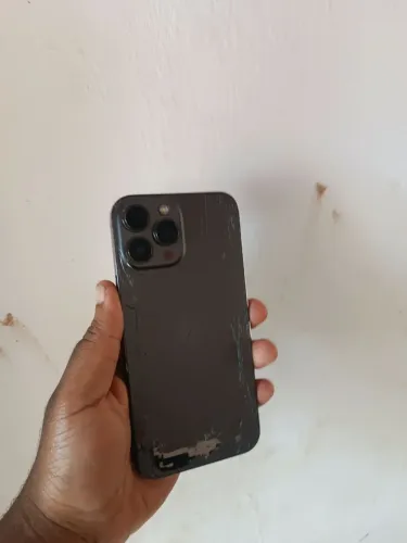 iPhone 13 Pro Max