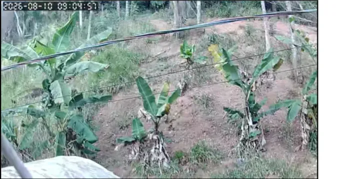 TERRENO DE 850 M2 - NAZARÉ PAULISTA PROXIMO AO DOCE DE JACA