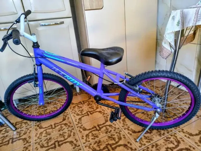 bike aro 20