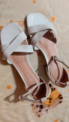 Sapato Femino 36