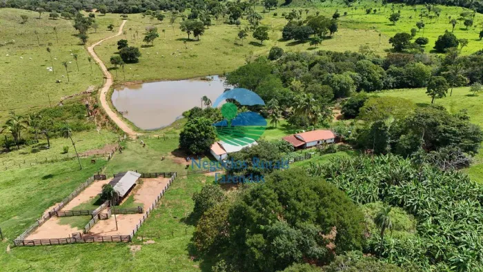 Fazenda 83 Alqueires ou 401 Hectares Campinorte -GO TERRA DE CULTURA