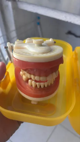 Manequim Periodontia Pronew 