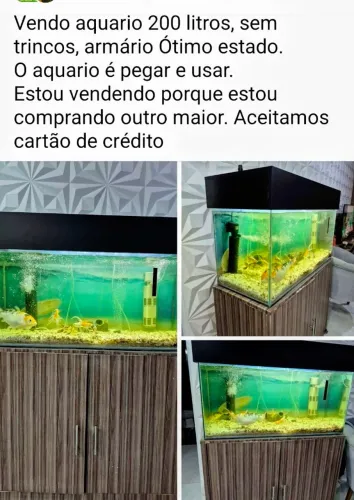 Aquario 200 litros com o armario