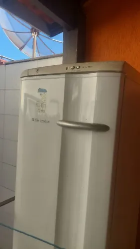 Freezer vertical . Precisa colocar gás 