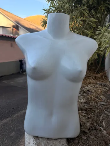 Bustos femininos