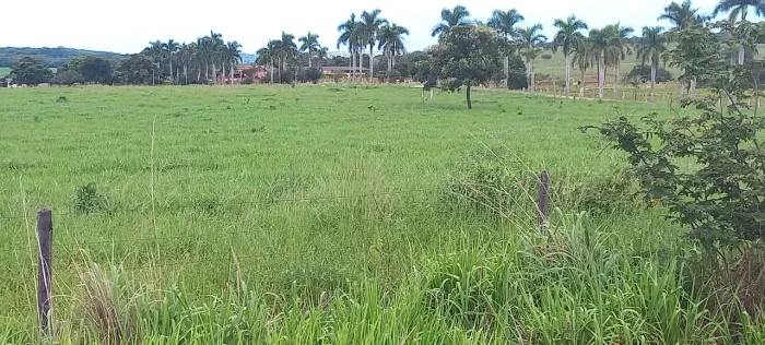 FAZENDINHAS com terra Roxa, lançamento - 24x= de R$2.000,00 mais parcelas (veja na descriç