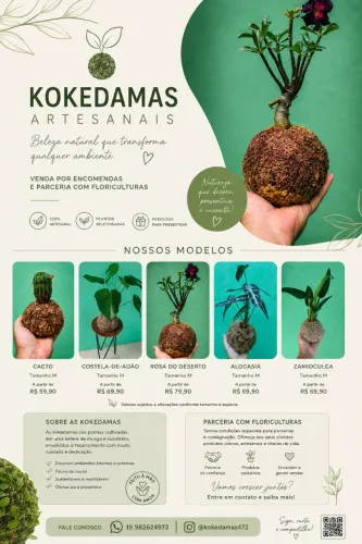 Kokedamas Artesanais 