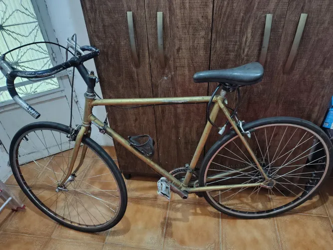 Monark crencent 10