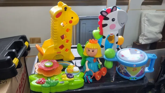 Zebra fisher price