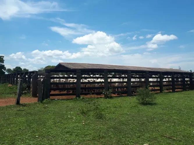 FAZENDA 1.430 ha. S.RITA DO TRIVELATO..-MT.