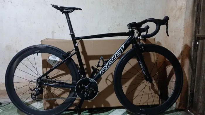 Speed carbono sensacional!