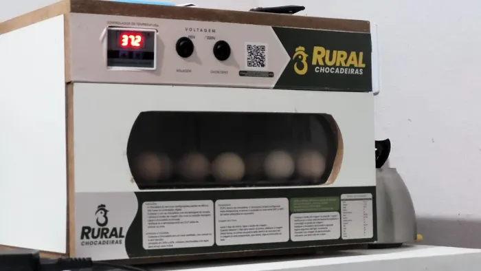 Chocadeira rural 30 ovos