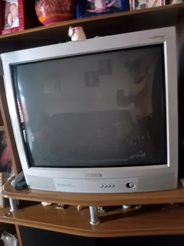 Televisão