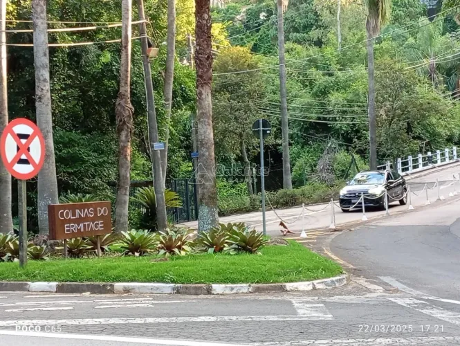 terreno - Colinas do Ermitage (Sousas) - Campinas