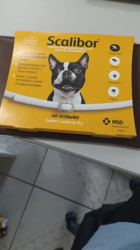 Coleira anti pulgas