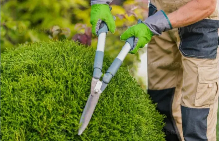 JARDINAGEM E PAISAGISMO.