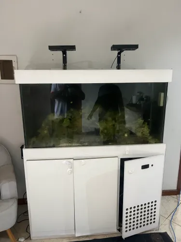 Aquário marinho