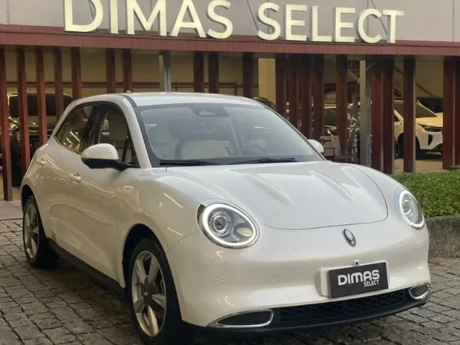 GWM Ora 03 Skin (elétrico) 2025