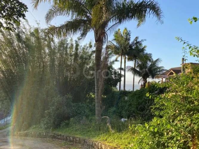 Terreno para Venda em Florianópolis, Cacupé