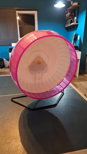 Roda para hamster
