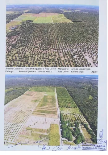 Fazenda em Beberibe
