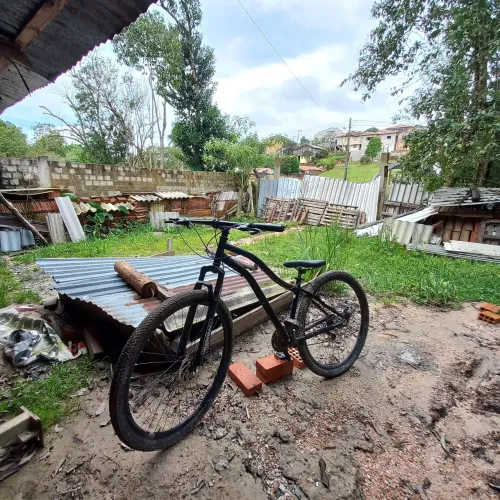 Bike Aro 29 coli