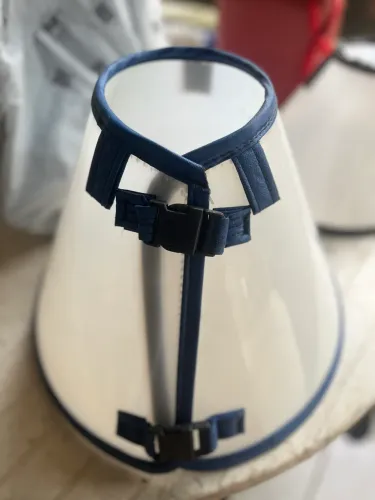 Cone para cachorro