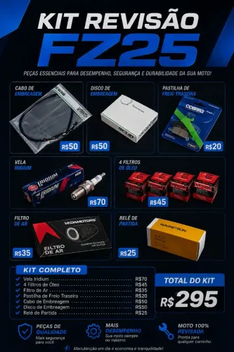 Kit revisão fz25 - lander 250 - TENERE250