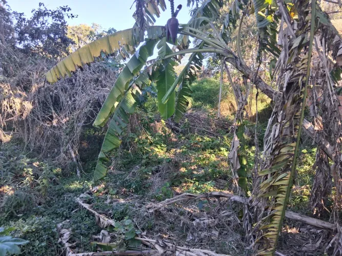 ? Terreno amplo com casa de madeira - Excelente oportunidade!
