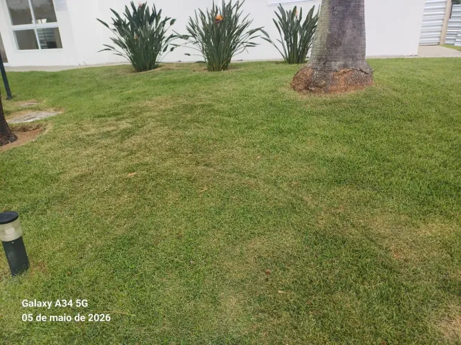 Limpeza de canteiro e aparação de gramados 
