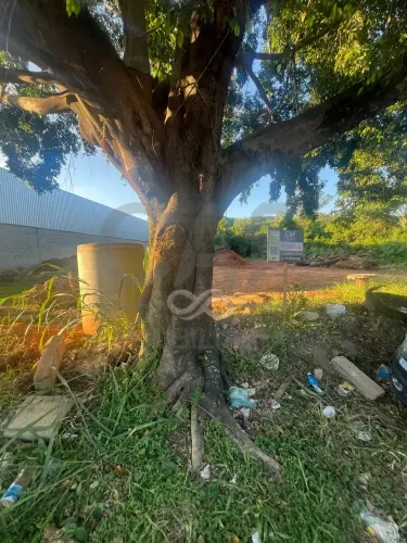 Terreno à venda, Bairro Cascalho, Pedreira, SP