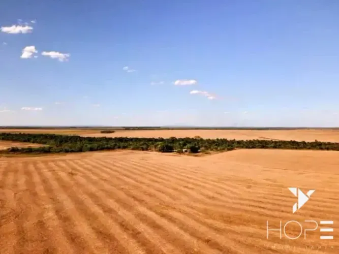 Fazenda à venda com 33.000 hectares - 11.600 hectares em lavoura - agricultura e pecuária