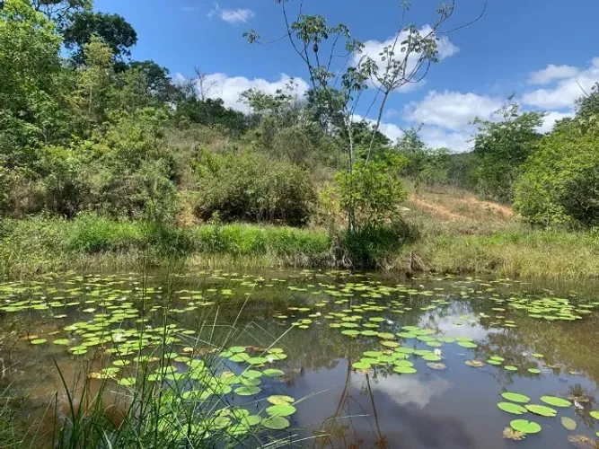 Terreno rural 7.8ha, casa antiga, barracão, arvores frutíferas, 2 nascentes,2 lagoas.