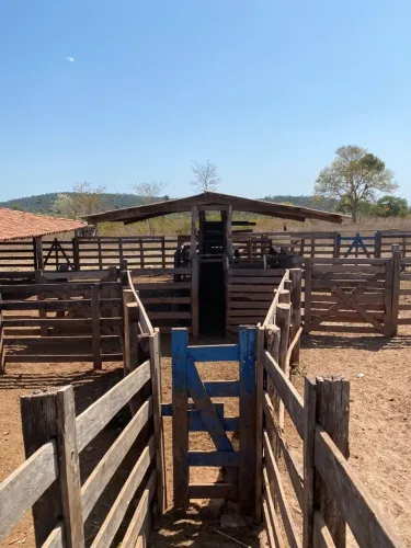 Fazenda em Codó do Maranhão