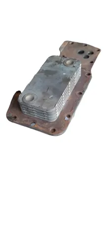 Radiador De Óleo Cam Ford Cargo 1317 E107