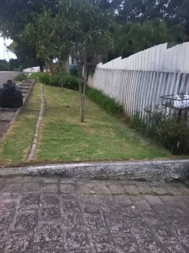 Jardinagem & Paisagismo