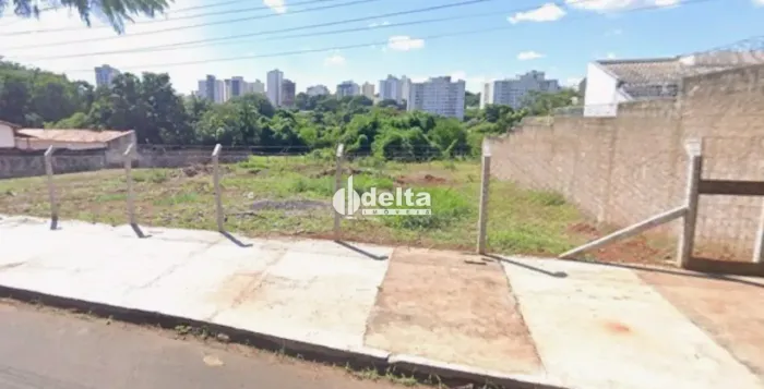 Terreno disponível para venda no bairro Cidade Jardim em Uberlândia - MG