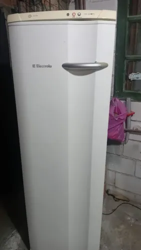 Freezer frost free 