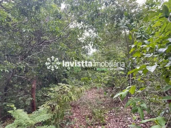 Fazenda de 58 alqueires em estágio de abertura no Tocantins