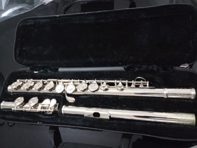 Instrumento de música, Flauta ? tranfetsal, usado bom