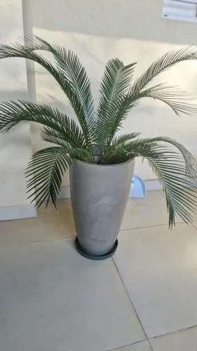 Vaso